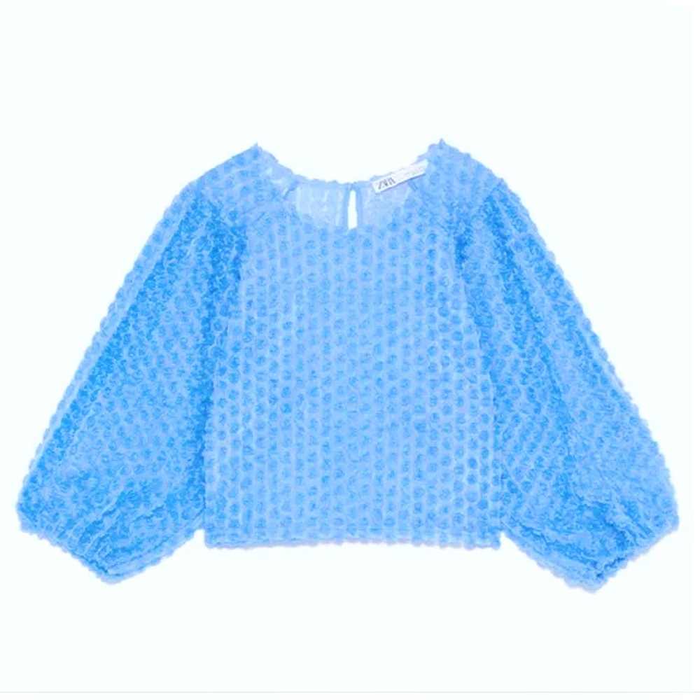 RARE! ZARA Light Blue Sheer Tulle 3D Rosebud Top/Blouse, Puff Sleeves sz. XS/0
